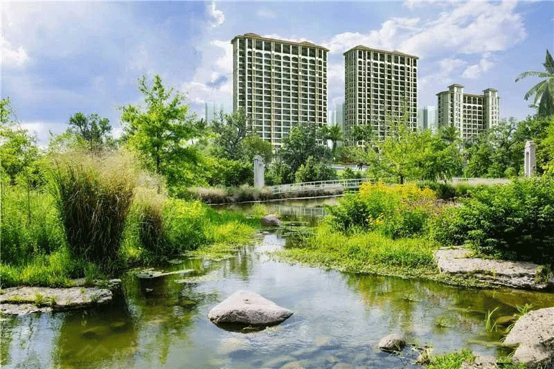 三亚公园湖畔实景图
